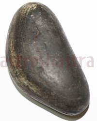 Shaligram 10751 50gm